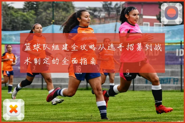 篮球队组建全攻略从选手招募到战术制定的全面指南